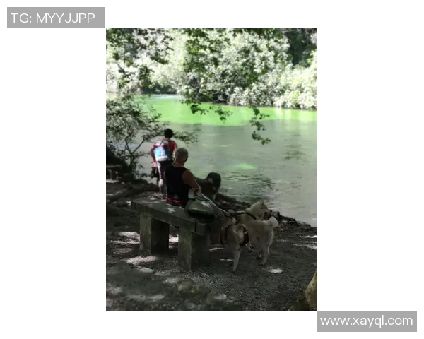 洛里昂与圣马洛的精彩对决揭示法乙联赛新动态与球队发展潜力