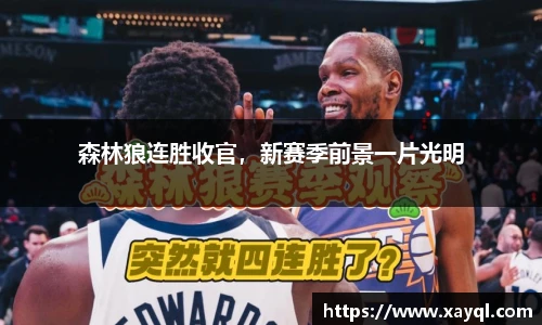 森林狼连胜收官，新赛季前景一片光明